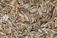 biomass boilers Culpho